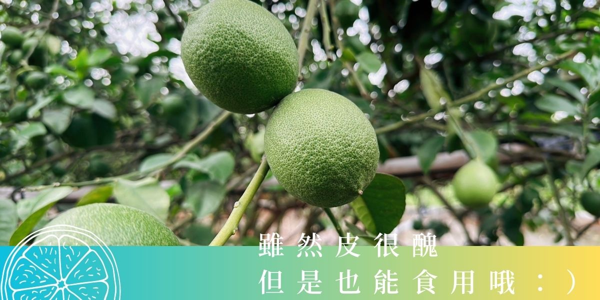 檸檬